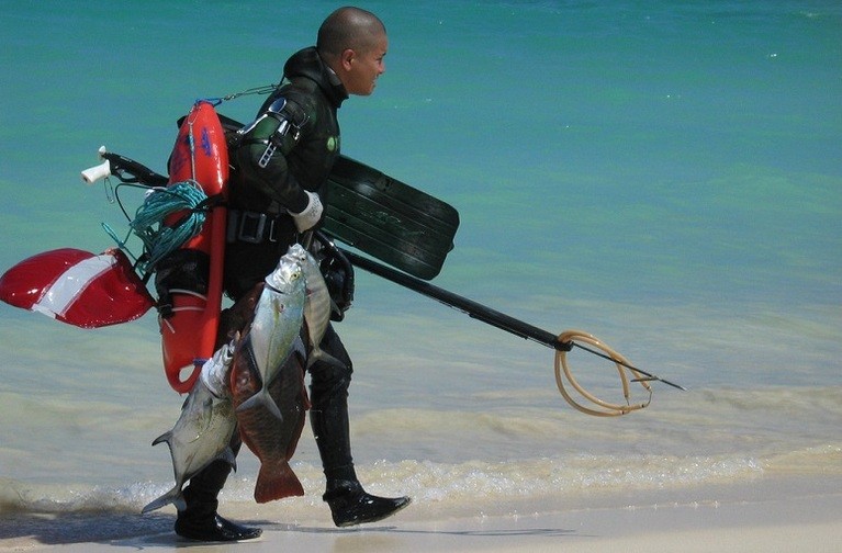 Spearfishing and Freediving in Florida Location Guide