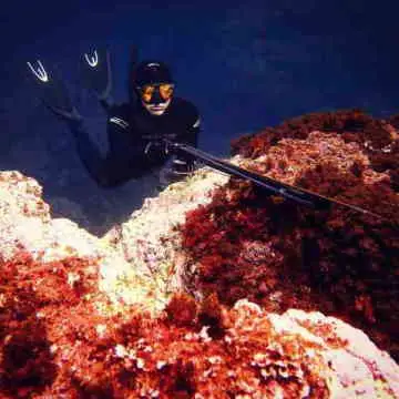 Freediver wearing all black with orange-tinted freediving mask holding speargun resting on red coral.