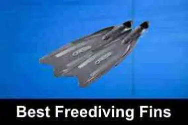 Best Freediving Fins of 2019