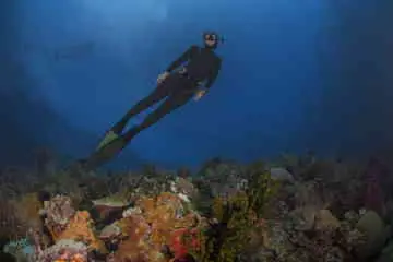 Freediver wearing black wetsuit, mask and fins floating above coral with blue backdrop ocean underwater.