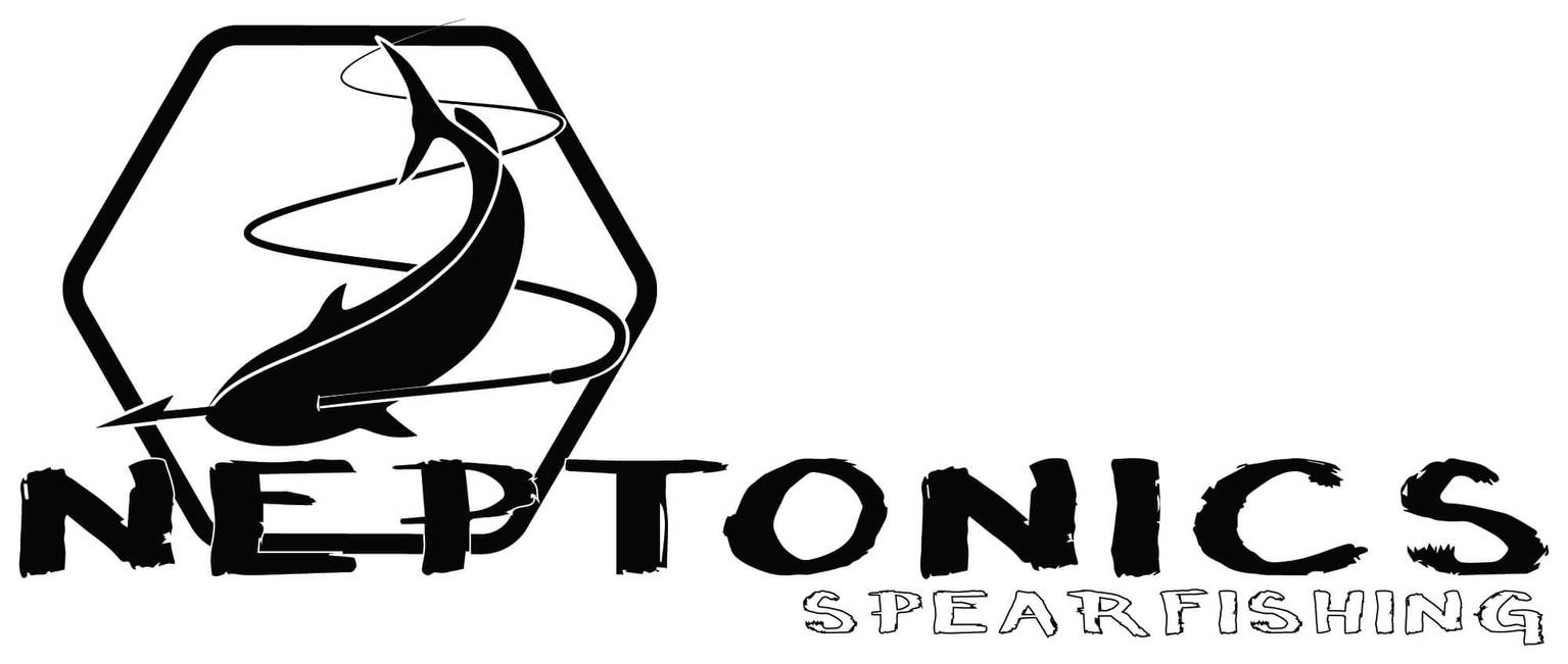 How To Use Freediving Tables Your Guide to Breathhold Training